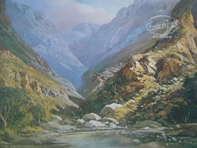 G6 Kloof in the Swartberg Kloof in the Swartberg